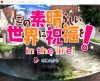 [160325][KADOKAWA]この素晴らしい世界に祝福を！in the life 